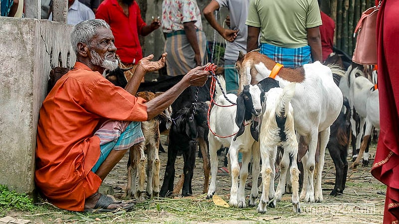 নারায়ণগঞ্জের সোনারগাঁও উপজেলার কাইকারটেক হাটে বিক্রির জন্য ছাগল নিয়ে এসেছেন অনেকে। সামনে কোরবানি থাকায় বেচাকেনাও বেড়েছে। ছবি: আব্দুল্লাহ আল মমীন