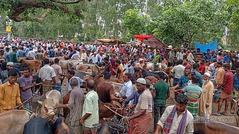 পঞ্চগড়ের হাটে আসা খামারি ও ব্যাপারীরা বলছেন, এবার পশু অনেক থাকলেও তারা ক্রেতা কম পাচ্ছেন। ফলে অপেক্ষাকৃত কম দামেই তারা বিক্রি করছেন।