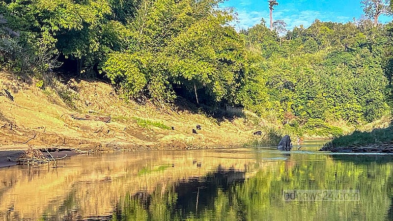 দুপাশে কোথাও পাহাড়, কোথাও বন, কোথাও বা লোকালয়ের মাঝ দিয়ে বয়ে চলেছে রাঙামাটির কাসালং নদী