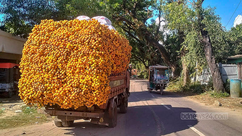 টেকনাফ সদর, সাবরাং ও বাহারছড়া ইউনিয়নে রয়েছে সবচেয়ে বেশি সুপারির বাগান। এসব এলাকায় এবার সুপারির ফলন ভালো হওয়ার কথা বলছেন চাষিরা