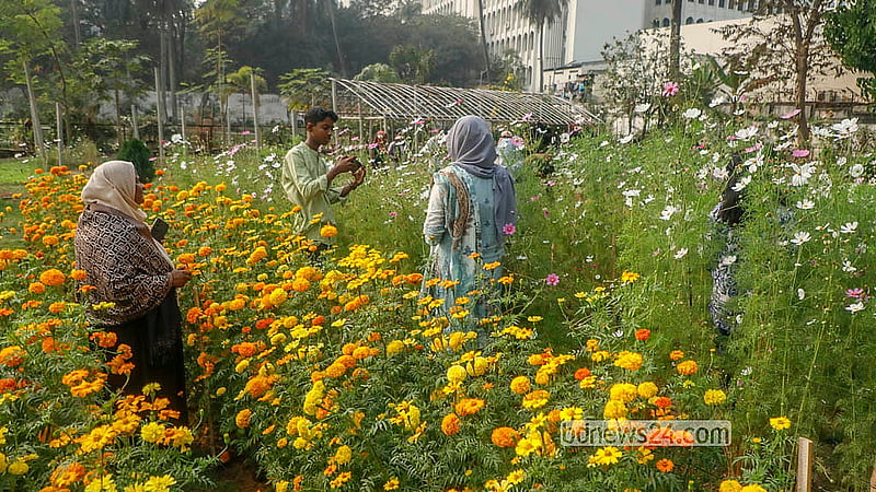 ফুল উৎসবে দর্শনার্থীরা। ঢাকার রমনা পার্কে তিন দিনের এ আয়োজন করেছে গণপূর্ত অধিদপ্তর