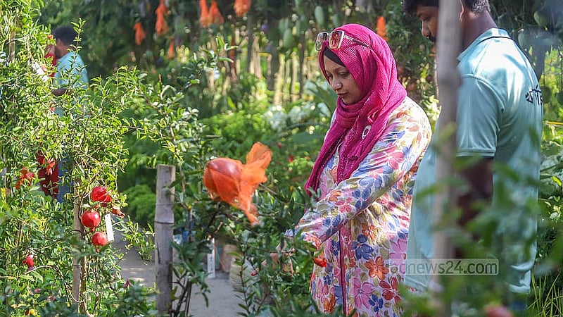 ঢাকার শেরে বাংলা নগরে জাতীয় বৃক্ষমেলার স্টলে গাছ দেখছেন এক নারী। ছবি: আব্দুল্লাহ আল মমীন