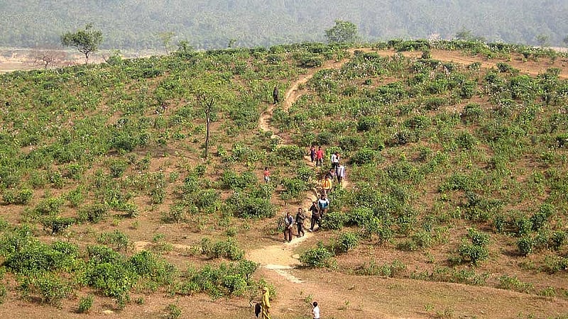 সিলেটের তামাবিল
