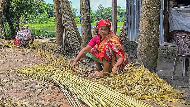 মাদারীপুর সদর উপজেলার খোয়াজপুর ইউনিয়নের পখিরা গ্রামে পাট ধোওয়া ও বাছাইয়ের কাজে পরুষদের পাশাপাশি নারীরাও কাজ করছে সমান তালে। ছবি: রিপন চন্দ্র মল্লিক
