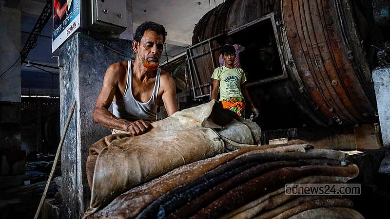 কোরবানির ঈদের পাঁচ দিন পর কর্মব্যস্ততা দেখা গেছে সাভার ট্যানারিতে। ধাপে ধাপে প্রক্রিয়াজাতকরণের কাজ করছেন শ্রমিকরা। ছবি: মাহমুদ জামান অভি