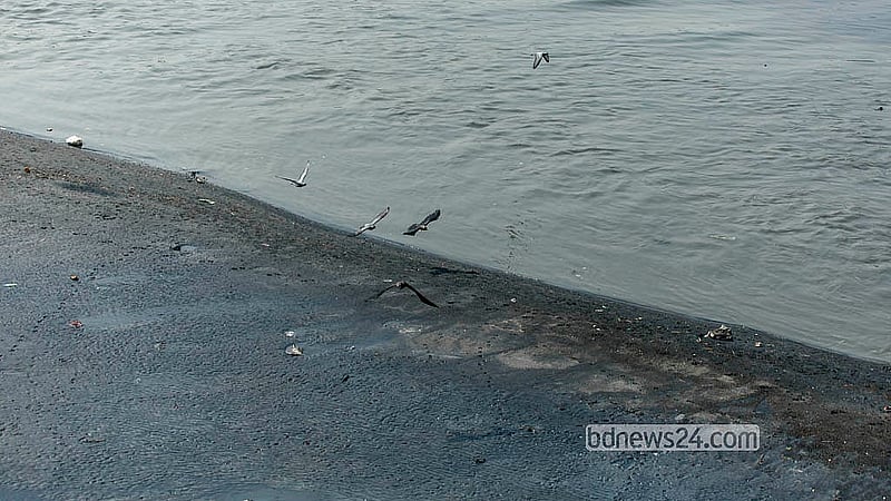 ঢাকার ফরাশগঞ্জ এলাকায় বুড়িগঙ্গায় জেগে ওঠা চরে খাবারের খোঁজে বিভিন্ন পাখি