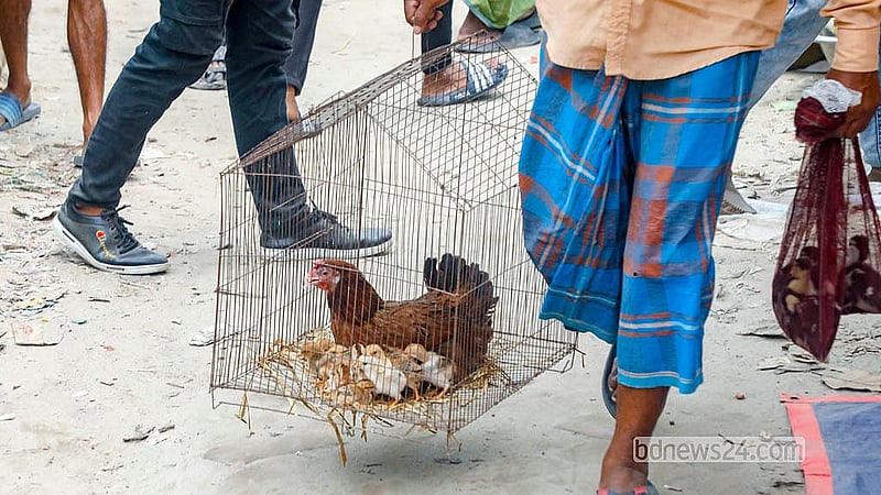 হাঁস-মুরগি বেচাকেনা চলছে নারায়ণগঞ্জের সোনারগাঁও উপজেলার কাইকারটেক হাটে। প্রতি রোববার বসে এই হাট। ছবি: আব্দুল্লাহ আল মমীন