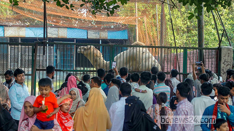 ঈদের ছুটিতে রোববার অনেকে বেড়াতে আসেন মিরপুরে জাতীয় চিড়িয়াখানায়।  ছবি: আব্দুল্লাহ আল মমীন