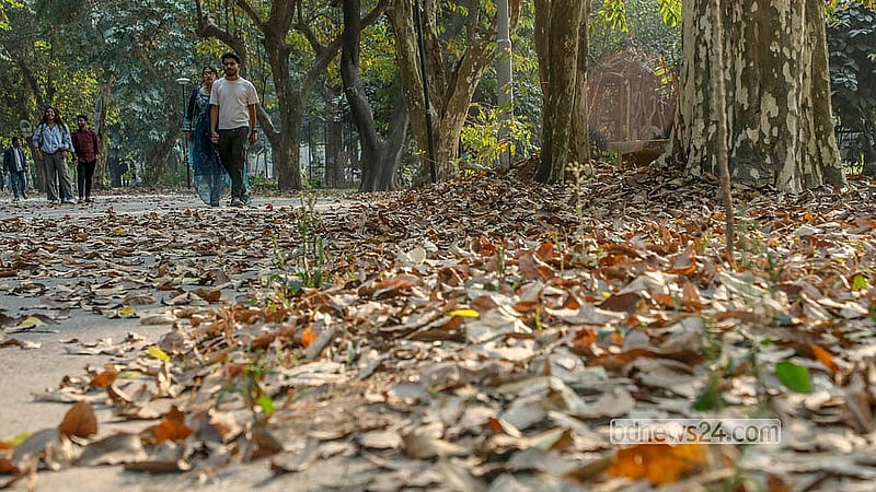 রাজধানীর রমনা পার্কে ঝরাপাতার সৌন্দর্য উপভোগ করছেন দর্শনার্থীরা। শীতের শেষে সেখানে বেড়েছে দর্শনার্থীর আগমন