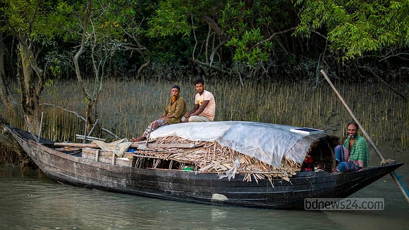 দুর্যোগ-দুর্বিপাকে প্রাকৃতিক ঢাল সুন্দরবন বিশাল জনগোষ্ঠীর জীবন-জীবিকারও অন্যতম স্থান। বিশেষজ্ঞরা তাই এই বনের সুরক্ষার কথা বলে আসছেন। ফাইল ছবি।