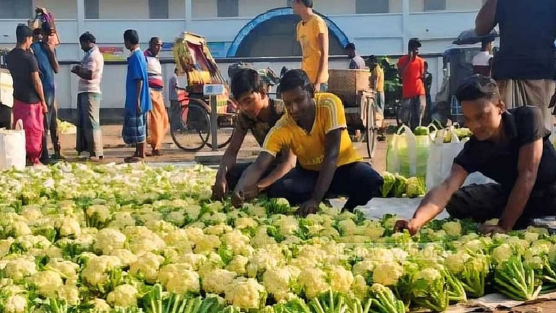 কৃষকদের কাছ থেকে দুই আড়াই টাকায় ফড়িয়াদের কেনা ফুলকপি হাত বদলে ঢাকা বিক্রি হচ্ছে গড়ে ২০ টাকা করে।