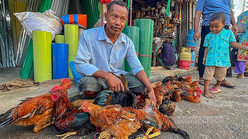 খাগড়াছড়ির মহালছড়ির সাপ্তাহিক হাটে মুরগি নিয়ে ক্রেতার অপেক্ষায় এক বিক্রেতা। ছবি: সমির মল্লিক