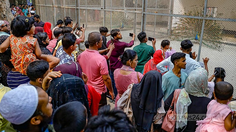 রোজার ঈদের পরদিন মঙ্গলবার ঢাকা চিড়িয়াখানায় ময়ূরের খাঁচার সমানে ময়ূরের পেখম তোলা দেখছেন ঘুরতে আশা দর্শনার্থী। ছবি: মাহমুদ জামান অভি