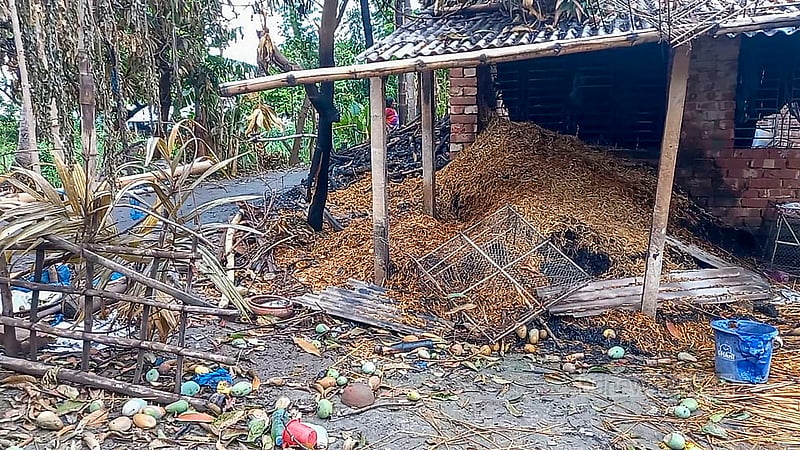 যশোরের নওয়াপাড়া পৌর বিএনপির সভাপতি তরিকুল ইসলাম খুনের পর ডহর মশিহাটী গ্রামের বাড়েদা পাড়ার মতুয়া সম্প্রদায়ের ঘরবাড়িতে আগুন দেওয়া হয়। গ্রামটিতে পোড়া ধ্বংসস্তূপ ছাড়া আর যেন কিছু নেই।