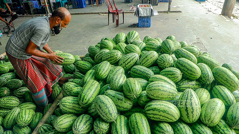 রাজধানীর যাত্রাবাড়ী আড়তে তরমুজ দেখছেন এক ক্রেতা। পাইকারিতে কেজি দরে সেখানে বিক্রি হচ্ছে তরমুজ। ছবি: আব্দুল্লাহ আল মমীন