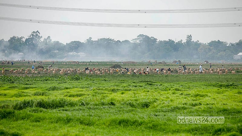মুন্সীগঞ্জের শ্রীনগর উপজেলার বীরতারা এলাকায় প্রতি মৌসুমে বিস্তীর্ণ জমিতে আলুর আবাদ হয়। এবার ফলন ভালো হওয়ার কথা বলেছেন স্থানীয় চাষীরা