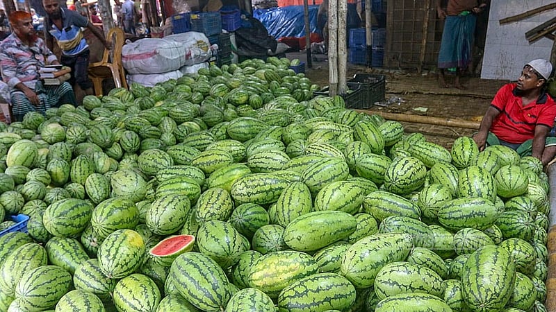 রাজধানীর যাত্রাবাড়ী আড়তে তরমুজের পসরা সাজিয়ে বসেছেন বিক্রেতারা। পাইকারিতে ৪০-৬০ টাকা কেজি দরে বিক্রি হচ্ছে তরমুজ। ছবি: আব্দুল্লাহ আল মমীন