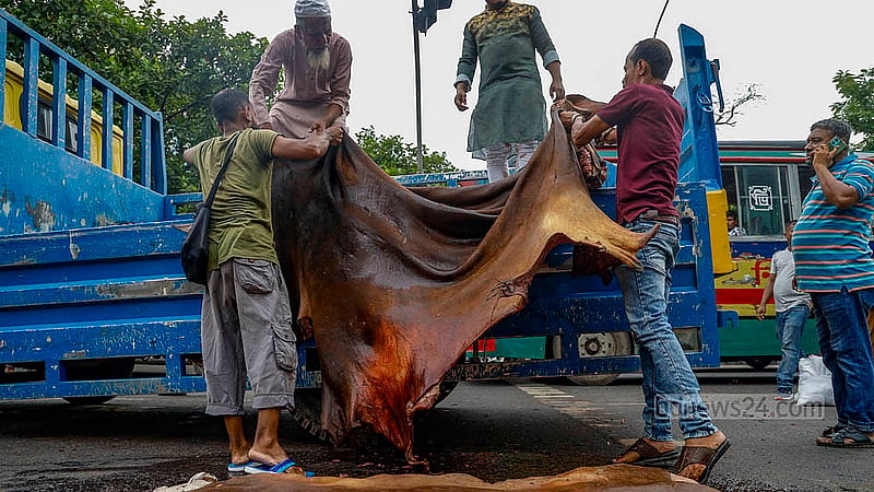 ঢাকার সাইন্সল্যাব মোড়ে মওসুমি চামড়া ব্যবসায়ীরা প্রতি পিস গরুর চামড়া কিনছেন ৪০০ থেকে ৮০০ টাকায়। চামড়ার আকার ও মান অনুযায়ী দাম ঠিক করছেন তারা। ছবি: মাহমুদ জামান অভি