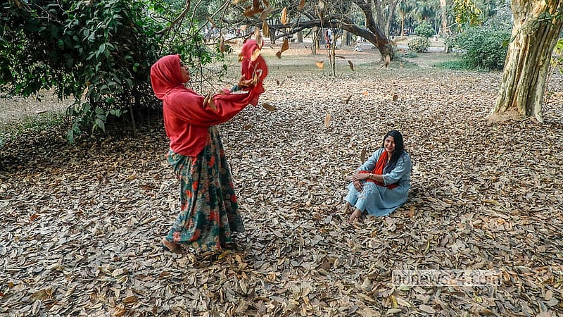 রাজধানীর রমনা পার্কে চাদরের মত বিছিয়ে আছে শুকনো পাতা। দর্শনার্থীরা সেই সৌন্দর্যে মুগ্ধ হচ্ছেন