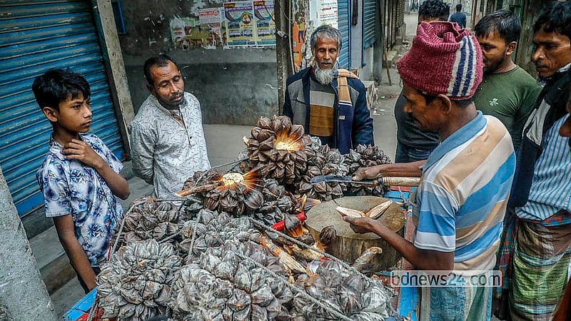 ঢাকার শ্যামপুর এলাকায় ভ্যান গাড়িতে বিক্রি হচ্ছে সুন্দরবনের উপকূলে এলাকার গোলপাতার ফল