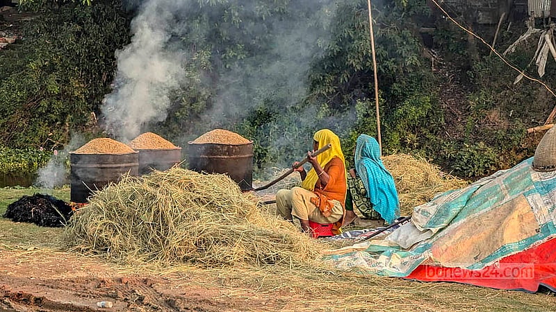সুনামগঞ্জের হাওরের কৃষকদের কেউ কেউ আগেই পাকা ধান কেটে তুলেছেন বাড়িতে। সবার আগে সেগুলো মাড়াই করে সিদ্ধও করে ফেলছেন বাড়ির নারীরা। ছবি: শামীম শামস