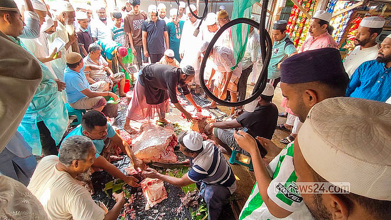 টেকনাফ পৌরসভার লামার বাজারের আবু মুছার আড়তে জেলেদের কাছ থেকে ২০৫ কেজি ওজনের ভোল মাছ কিনে কেটে বিক্রি করা হয় ২ হাজার টাকা কেজি দরে