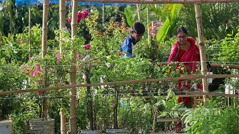 জাতীয় বৃক্ষমেলায় গাছ দেখছেন অনেকে; পছন্দ হলে কিনে বাসায় নিয়ে যাচ্ছেন। ছবি: আব্দুল্লাহ আল মমীন