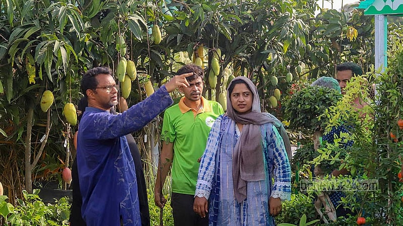 ঢাকার শেরে বাংলা নগরে জাতীয় বৃক্ষমেলায় স্টল ঘুরে দেখছেন দর্শনার্থীরা। ছবি: আব্দুল্লাহ আল মমীন