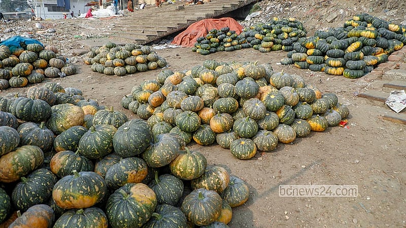 পুরান ঢাকার শ্যামবাজারে আকার ভেদে সাজিয়ে রাখা মিষ্টি কুমড়া। ছবি: আব্দুল্লাহ আল মমীন