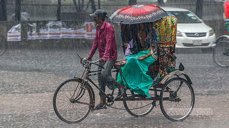 বৃহস্পতিবার বিকেলে ঢাকা বিশ্ববিদ্যালয় এলাকায় ঝুম বৃষ্টির মধ্যে যাত্রী নিযে চলছেন এক রিকশা চালক।