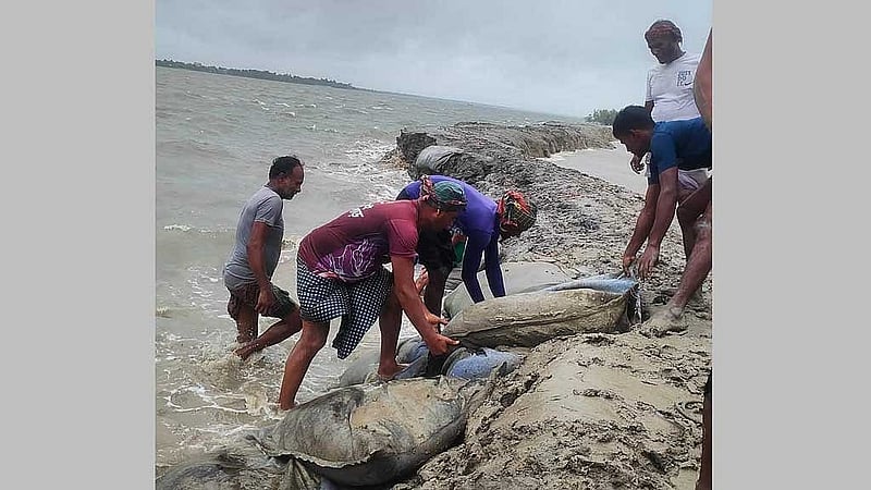 রেমালে সাতক্ষীরায় ক্ষতিগ্রস্ত উপকূলীয় বাঁধ। বিশেষজ্ঞরা বলছেন, এই বাঁধগুলোর উচ্চতা বাড়াতে হবে। নকশায় পরিবর্তন এনে বৃক্ষ রোপণও জরুরি