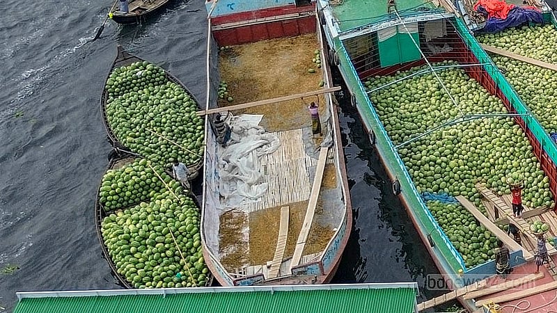 পুরান ঢাকার ওয়াইজঘাট ফলের আড়ত থেকে ছোট নৌযানে তরমুজ নিয়ে যাওয়া হচ্ছে বিভিন্ন স্থানে।  ছবি: আব্দুল্লাহ আল মমীন