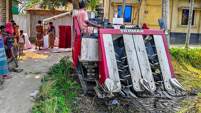 গাইবান্ধার সাদুল্লাপুর উপজেলার হাবিবুল্লাপুরে কম্বাইন হার্ভেস্টারে কাটা ও মাড়াই শেষে ধান বস্তাবন্দি করা হচ্ছে। ছবি: তাজুল ইসলাম রেজা