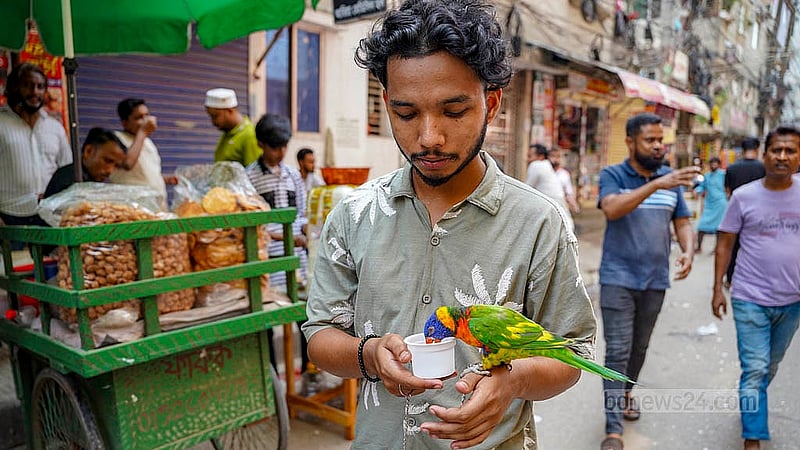 মিরপুরে পাখির হাটে ‘লরি পাখি’ এনেছেন এক বিক্রেতা, যার দাম চাওয়া হয় ২০ হাজার টাকা