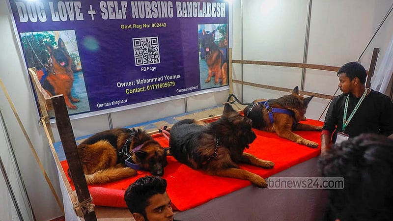 আগারগাঁওয়ে পুরনো বাণিজ্য মেলা মাঠে প্রাণিসম্পদ অধিদপ্তরের প্রদর্শনীতে রয়েছে নানা জাতের কুকুর। ছবি: আব্দুল্লাহ আল মমীন