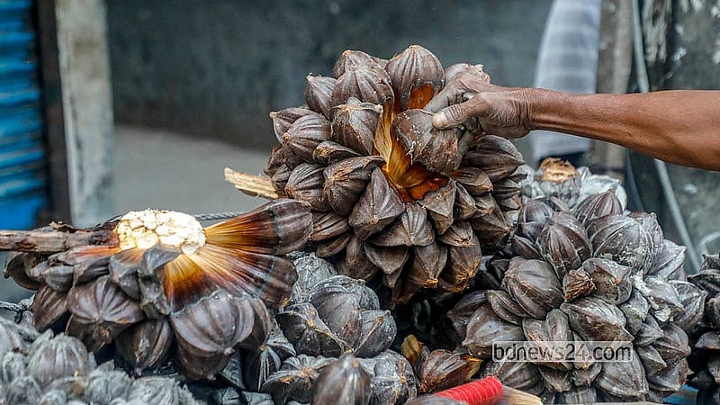 এককাঁদিতে ৫০-৮০টি গোলফল থাকে। রাজধানীর শ্যামপুর এলাকায় ভ্রাম্যমাণ এ বিক্রেতা প্রতিটি ফল বেচছে ১০-২০ টাকায়
