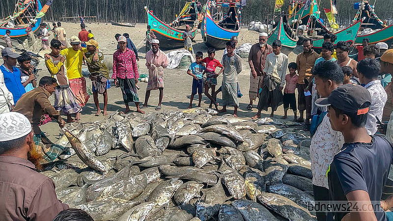 শাহপরীর দ্বীপ এলাকা সাগরে শুক্রবার এরশাদুল্লাহ মাঝির জালে ওঠা ‘নাগু মাছ’ দেখতে ভিড় করেন স্থানীয় বাসিন্দারা