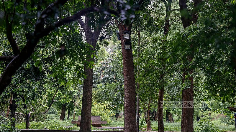 সন্ধ্যা হলেই সোহরাওয়ার্দী উদ্যানেন নামত অন্ধকার। এখন সেখানে নিরাপত্তা বাড়াতে বসানো হয়েছে হ্যালোজেন লাইট। ছবি: মাহমুদ জামান অভি