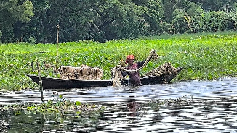 মাদারীপুর সদর উপজেলার খোয়াজপুর ইউনিয়নের পখিরা গ্রামে পাট ধোওয়ার কাজে ব্যস্ত সময় পার করছেন কৃষকরা। ছবি: রিপন চন্দ্র মল্লিক