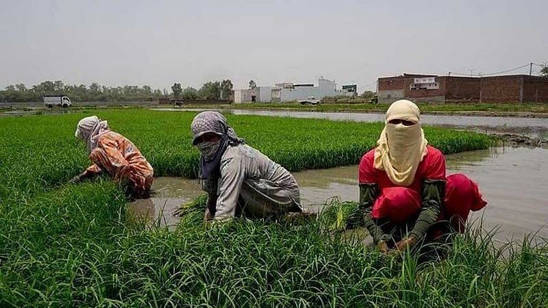 ছবি: রয়টার্স