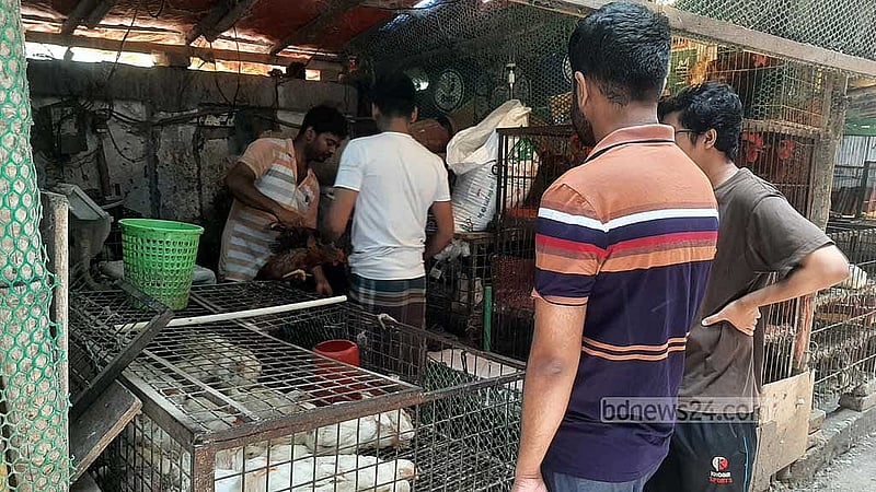 ফেইসবুকে ছড়িয়ে পড়া তালিকায় দাবি করা হচ্ছে, খাশির মাংসের কেজি নেমেছে ৮৫০ টাকায়। সেটি বিশ্বাস করে অর্ণব ঘোষ তেজকুনিপাড়া বাজারে এসে দেখেন দাম ১১০০ টাকা। এক কেজি কিনতে এসে ফিরেছেন আধা কেজি নিয়ে।
