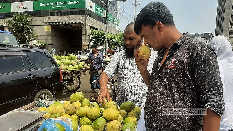 ঘ্রাণ শুঁকে আমের পরিপক্বতা বোঝার চেষ্টায় ক্রেতা হুমায়ুন কবির