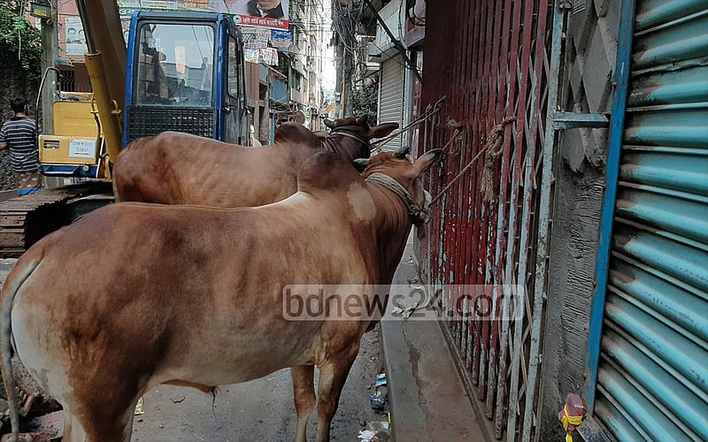 গরুর দামের ১৫ থেকে ২০ শতাংশ মাংস কাটার মজুরি হিসেবে নেন কসাইরা।