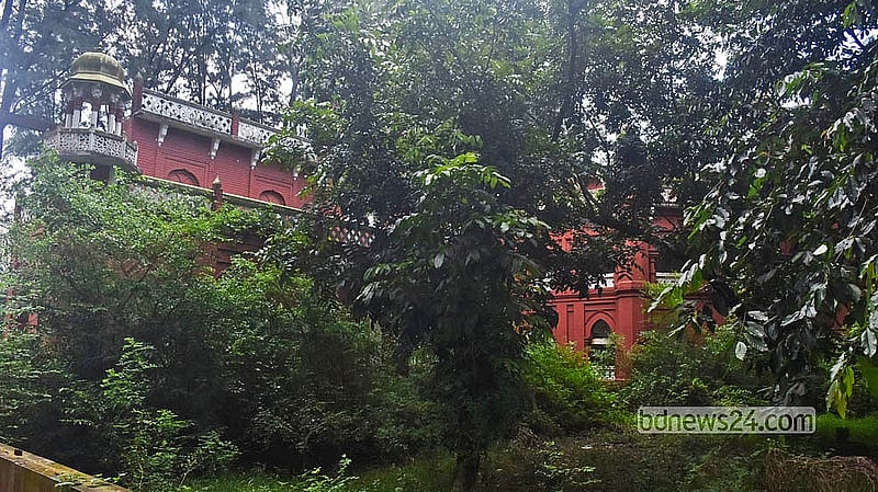 জিয়া স্মৃতি কমপ্লেক্সের ভেতরে জঙ্গলে ঢেকে গেছে কার্জন হলের রেপ্লিকা