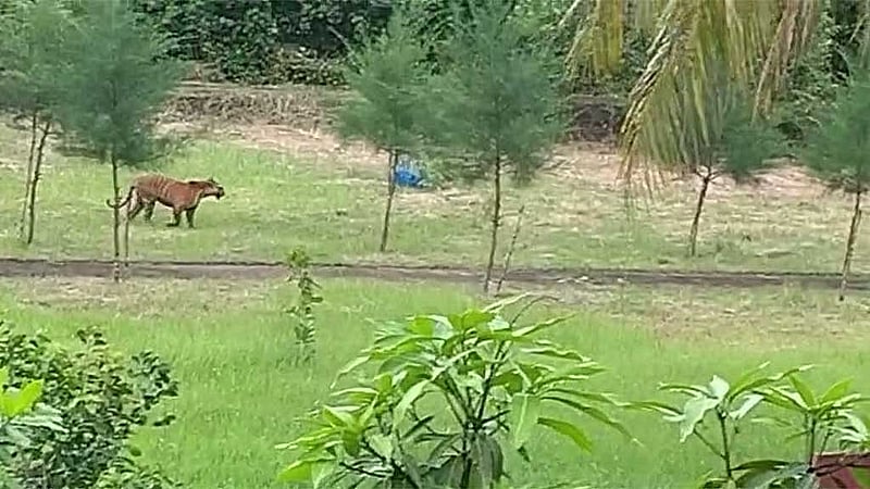ভিডিও থেকে নেওয়া ছবি 