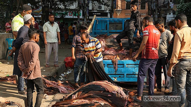 রাজধানীর বিভিন্ন এলাকা থেকে কোরবানির পশুর চামড়া সংগ্রহ করে পুরান ঢাকার লালবাগে পোস্তায় নিয়ে আসা হচ্ছে বিক্রির জন্য