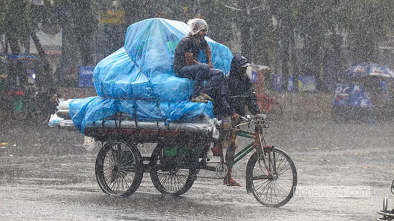 ঢাকা বিশ্ববিদ্যালয় এলাকায় মৌসুমি বায়ুর প্রভাবে রাজধানীতে দুপুরের বৃষ্টিতে ভিজে মালামাল পরিবহনের ব্যস্ত মুহূর্ত