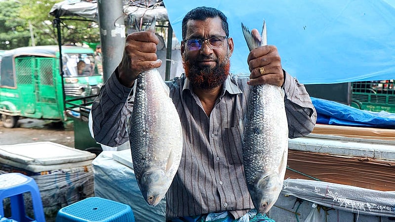 ঢাকার কারওয়ান বাজারে এক কেজি বা তার বেশি ওজনের বড় ইলিশ বিক্রি হচ্ছে প্রতি কেজি ২ হাজার ২০০ থেকে ২ হাজার ৬০০ টাকা বা তারও বেশি দামে। ভরা মৌসুমেও উচ্চমূল্যের কারণে অনেক ক্রেতাই ইলিশ কিনতে হিমশিম খাচ্ছেন