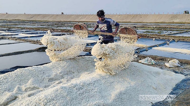 বৈরী আবহাওয়ার কারণে দুই সপ্তাহ বন্ধ থাকার পর চাষিরা আবার মাঠ থেকে লবণ তুলতে শুরু করেছেন। এখন উৎপাদনে খরচ বেশি হলেও টেকনাফে প্রতি মণ বিক্রি হচ্ছে ২৮০-৩০০ টাকায়