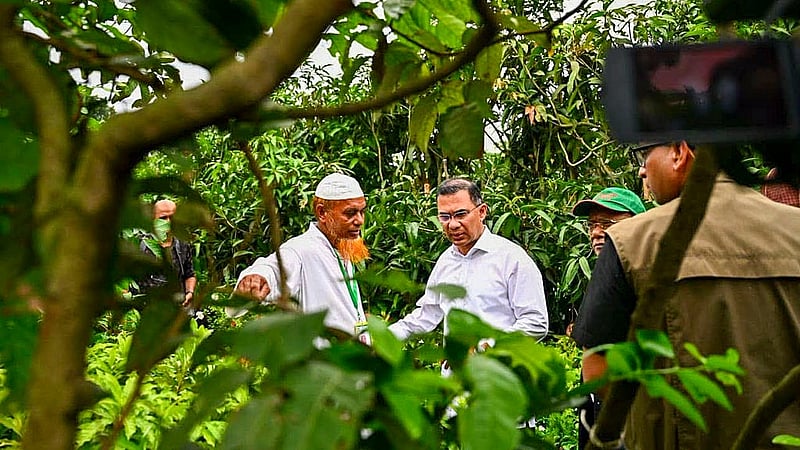 রাজধানীর শের-ই-বাংলা নগরে বৃহস্পতিবার বৃক্ষমেলা ঘুরে দেখেন প্রধানমন্ত্রী তারেক রহমান